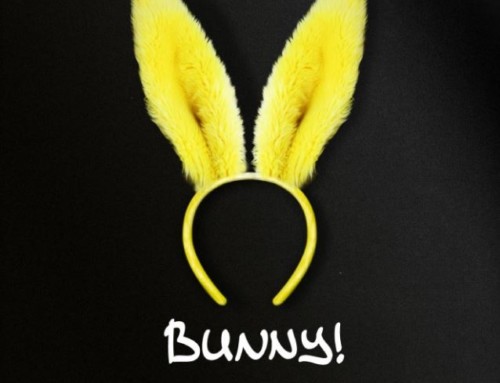 15.06.2012 Presse Kit zur Modenschau „Bye-Bye Bunny“ am 22.06.2012