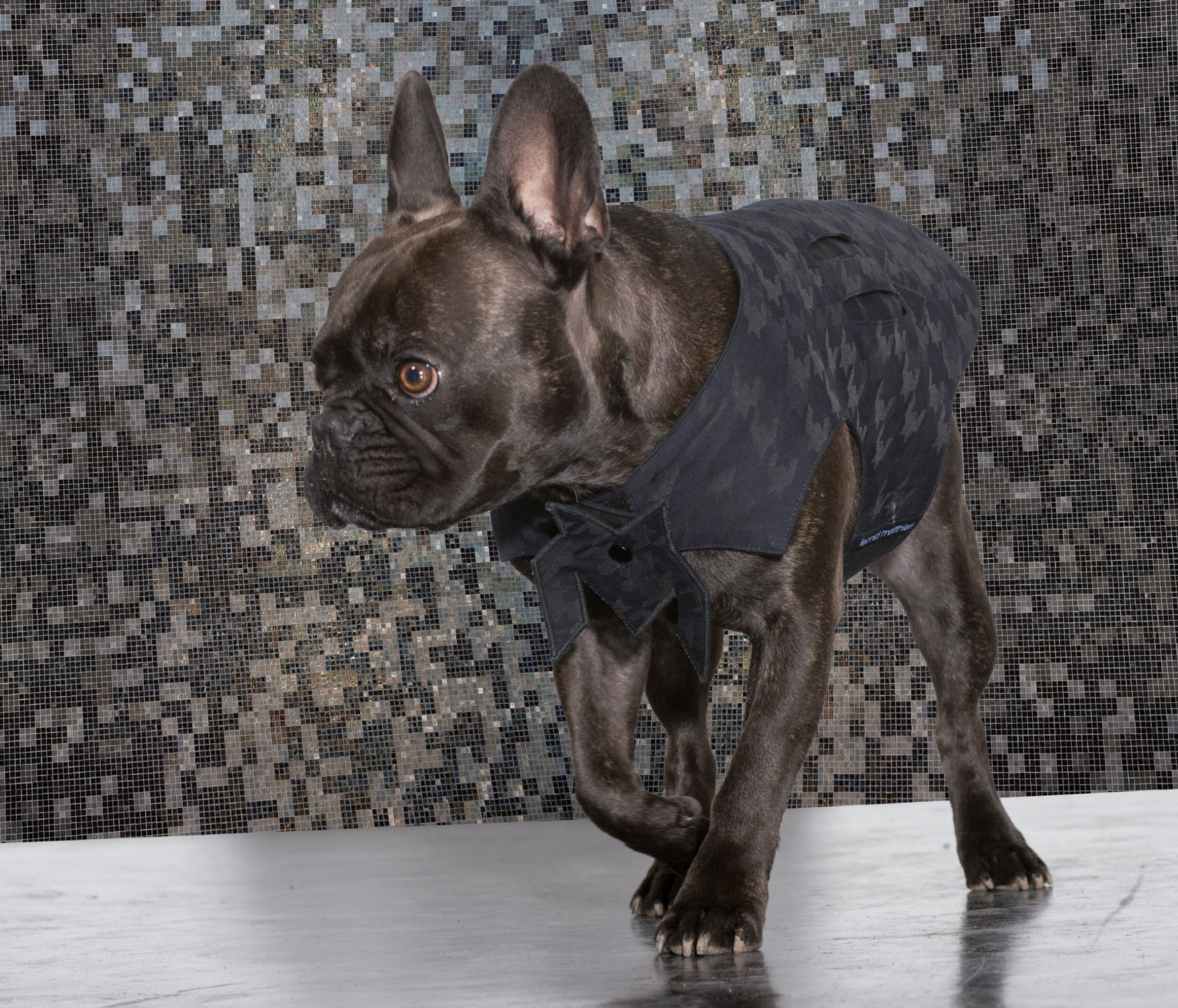 KATALOG_FINAL_FINAL-20