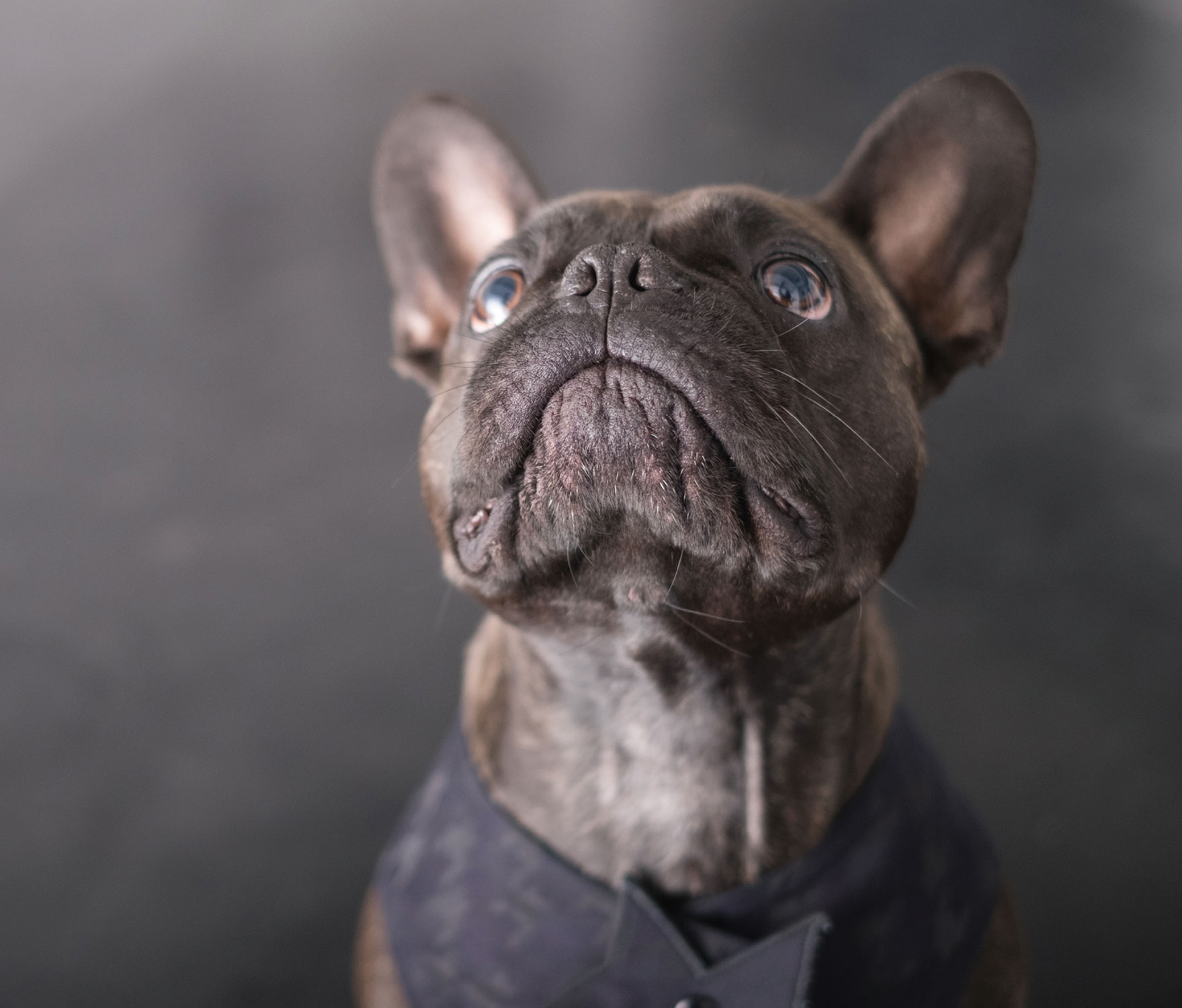 KATALOG_FINAL_FINAL-9